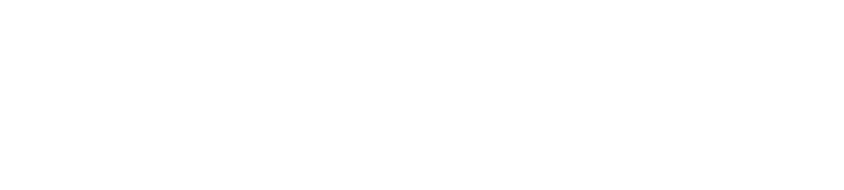 logo_stabiswiss_europe